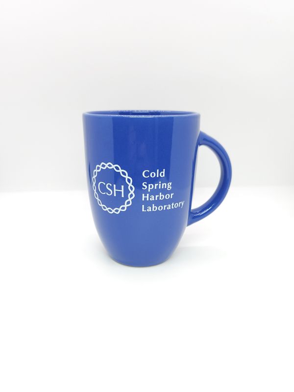 Ceramic Mug