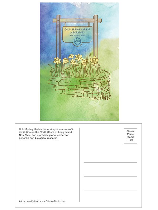 Lynn Fellman Postcard