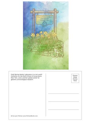 Lynn Fellman Postcard