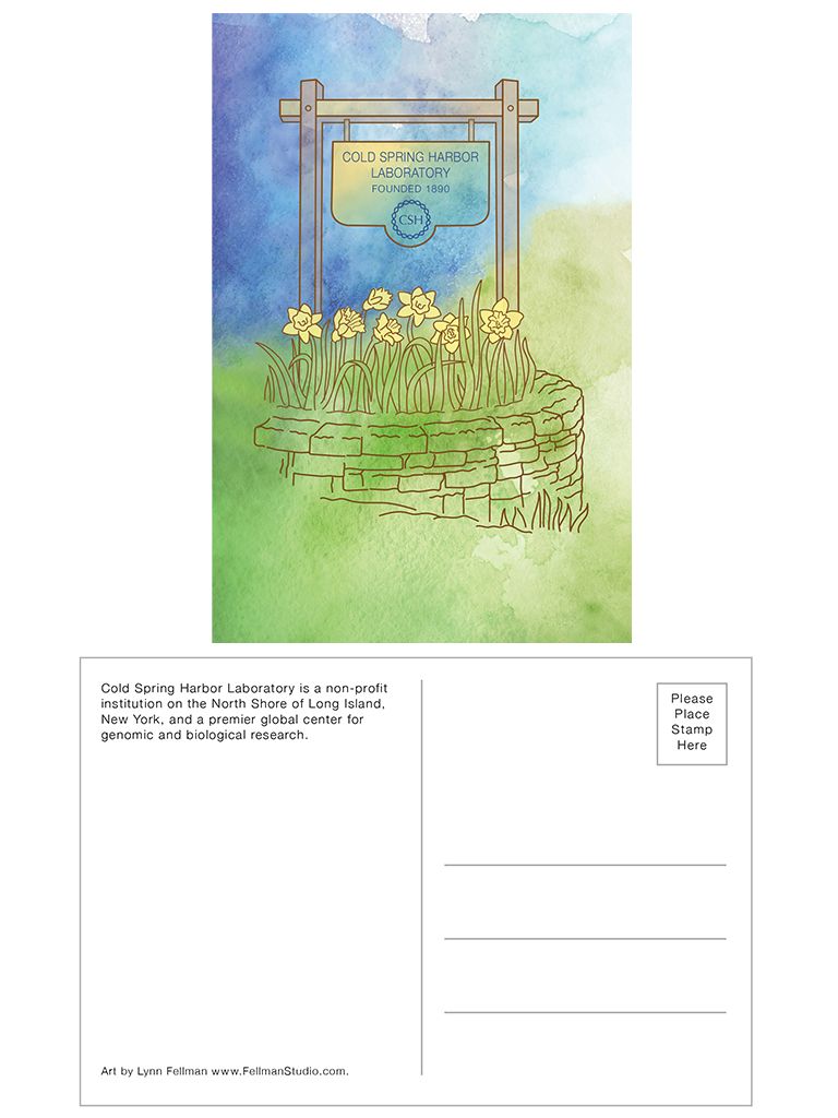 Lynn Fellman Postcard, Design: CSHL Sign