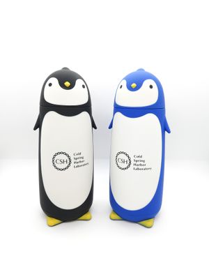 Penguin Bottle