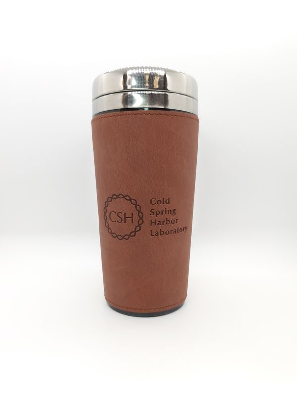 Travel Tumbler