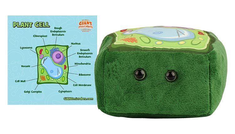 Giant Microbes Toys - Organs &amp; Cells, Item: Plant Cell