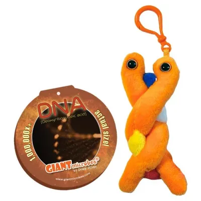 Giant Microbes Keychains - Genetics