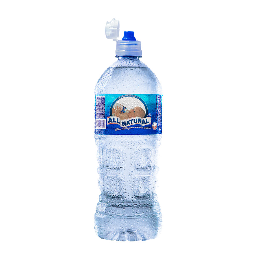 Agua ALL NATURAL Botella 1 LT