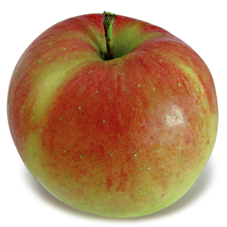 Melrose Apple