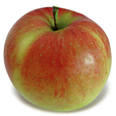 Melrose Apple