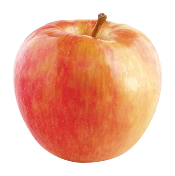Honeycrisp Apple