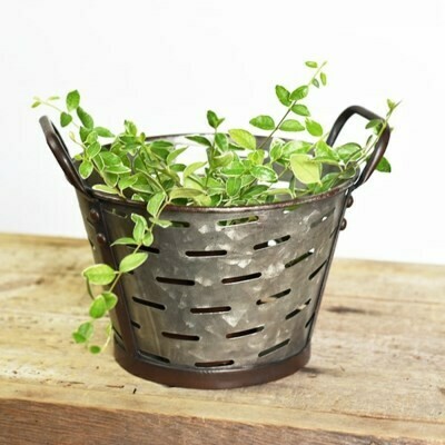10&quot; Vented Tin Tub