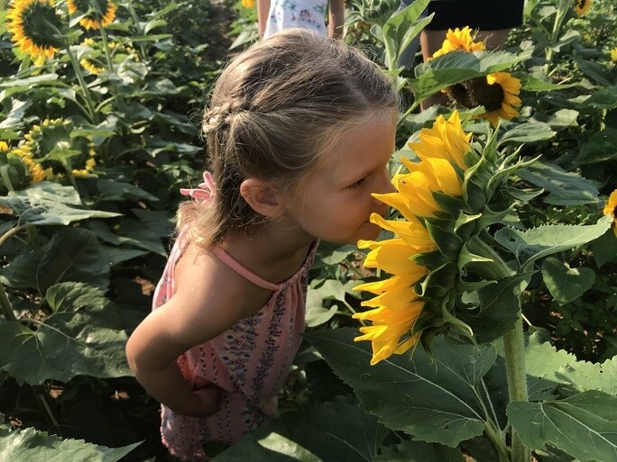 Youth/Sr Admission (ages 4-9; 65+)