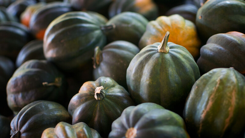 Acorn Squash