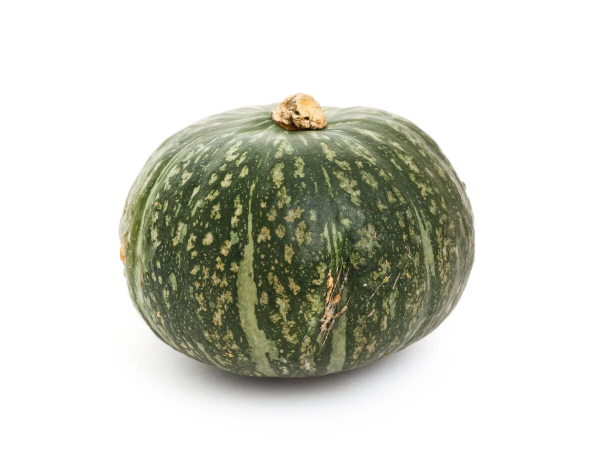 Delica Squash