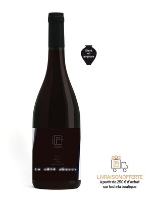 Le Côté Obscur 2022, AOP Pic Saint Loup rouge - carton de 6 bouteilles
