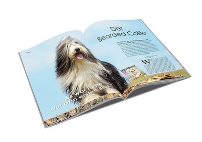 Bearded Collie Rasseporträt  (PDF)