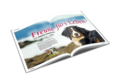 Berner Sennenhund Rasseporträt (PDF) Berner Sennenhund Rasseporträt (PDF)