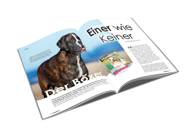 Boxer Rasseporträt (PDF)