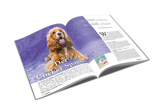 Cocker Spaniel Rasseporträt (PDF)