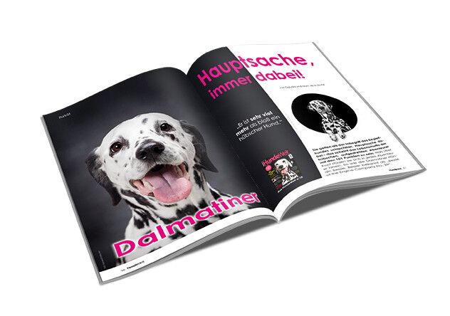 Dalmatiner Rasseporträt (PDF)