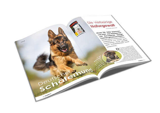 Deutscher Schäferhund Rasseporträt (PDF)