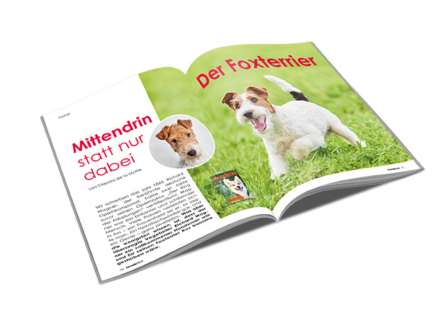 Foxterrier Rasseporträt (PDF)