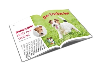 Foxterrier Rasseporträt (PDF)