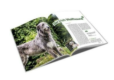Irish Wolfhound Rasseporträt (PDF) Irish Wolfhound Rasseporträt (PDF)