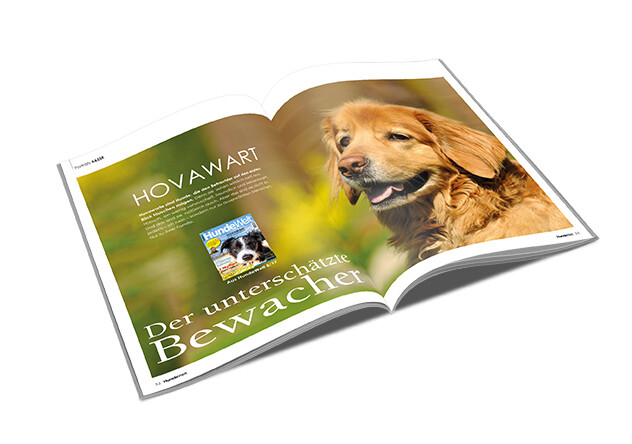 Hovawart Rasseporträt (PDF)