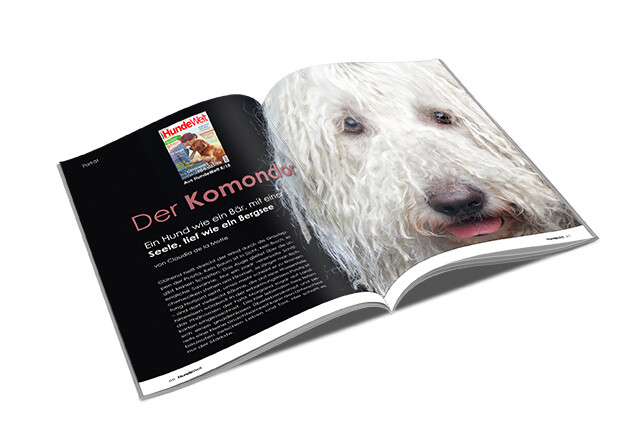 Komondor Rasseporträt (PDF)