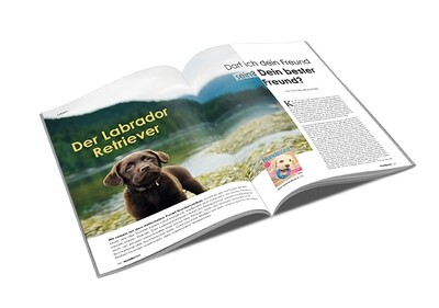 Labrador Retriever Rasseporträt (PDF) Labrador Retriever Rasseporträt (PDF)