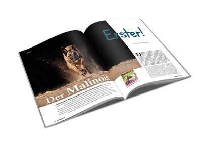 Malinois Rasseporträt (PDF)