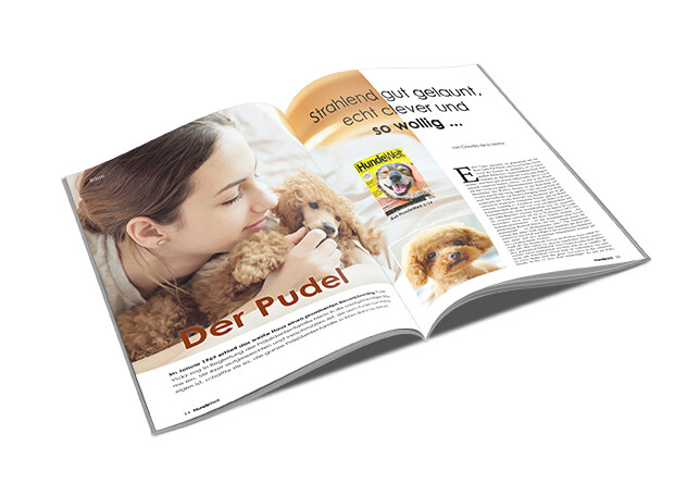 Pudel Rasseporträt (PDF)