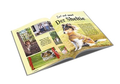 Sheltie Rasseporträt (PDF)
