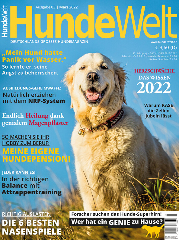 HundeWelt 03.2022 (Digital, Einzelheft)