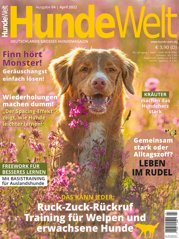 HundeWelt 04.2022 (Digital, Einzelheft)