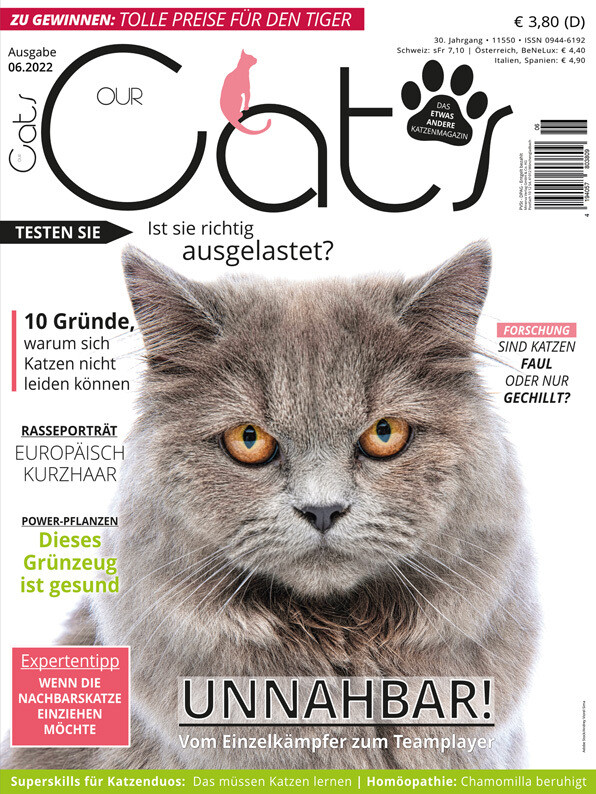 Our Cats 06.2022 (Digital, Einzelheft)