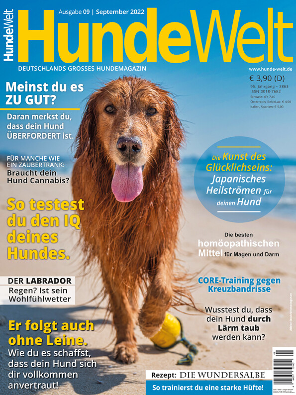 HundeWelt 09.2022 (Digital, Einzelheft)