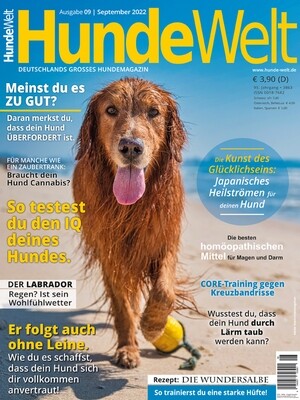 HundeWelt 09.2022 (Digital, Einzelheft) HundeWelt 09.2022 (Digital, Einzelheft)
