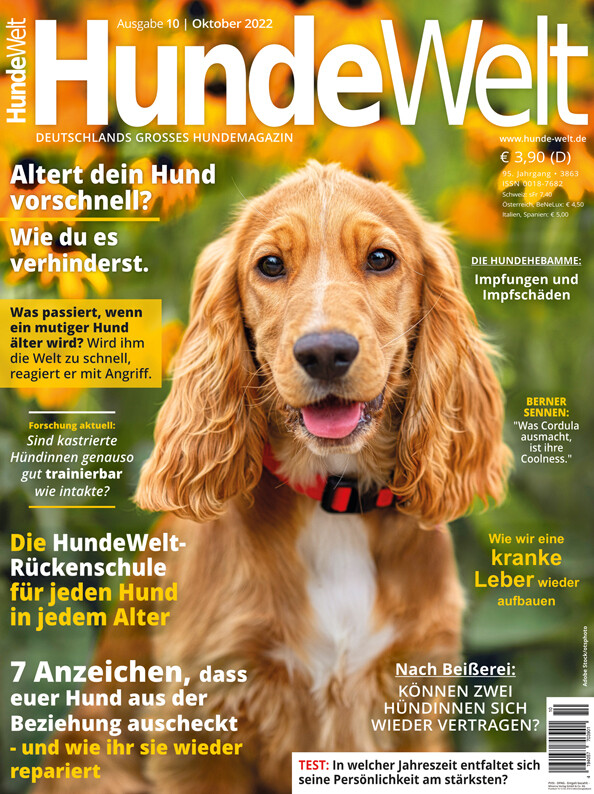 HundeWelt 10.2022 (Digital, Einzelheft)