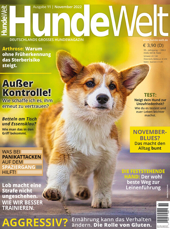 HundeWelt 11.2022 (Digital, Einzelheft)
