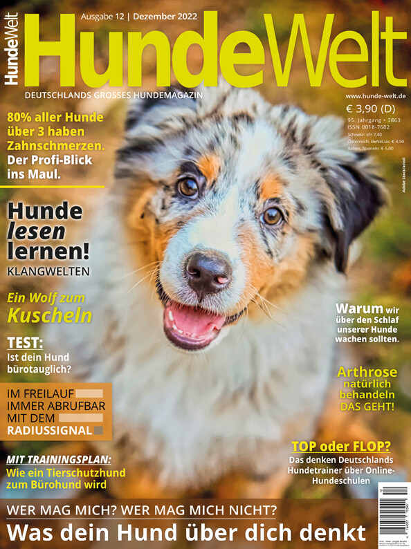 HundeWelt 12.2022 (Digital, Einzelheft)
