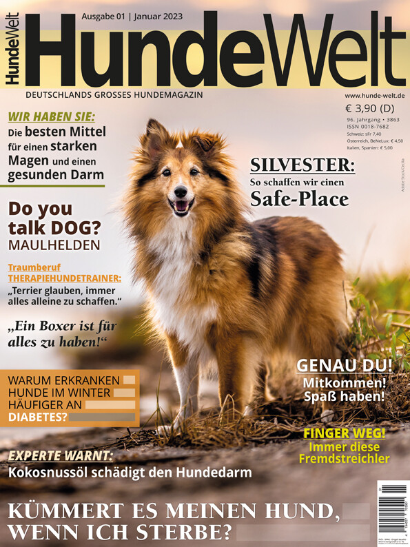 HundeWelt 01.2023 (Digital, Einzelheft)