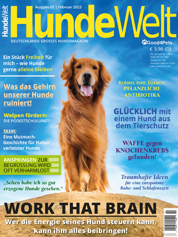 HundeWelt 02.2023 (Print, Einzelheft)
