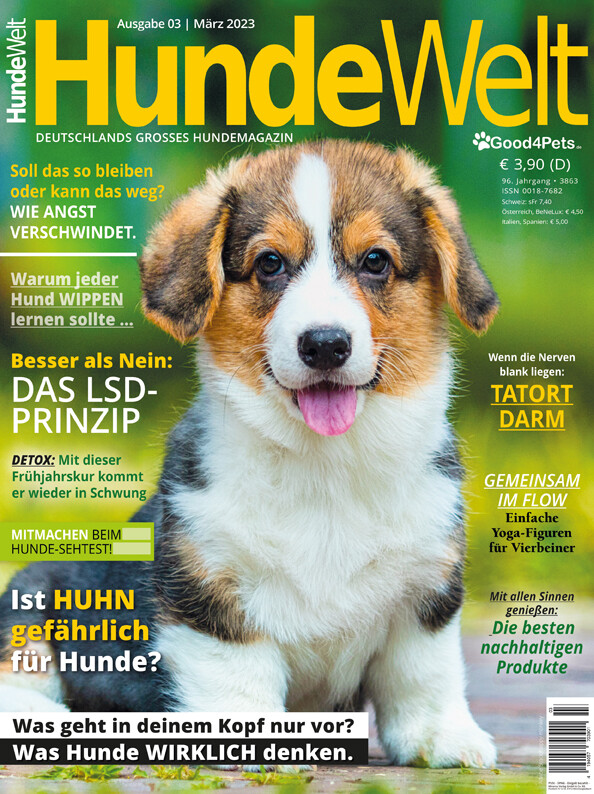 HundeWelt 03.2023 (Digital, Einzelheft)