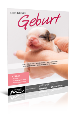 Checkliste Geburt (Digital, E-Book - PDF)