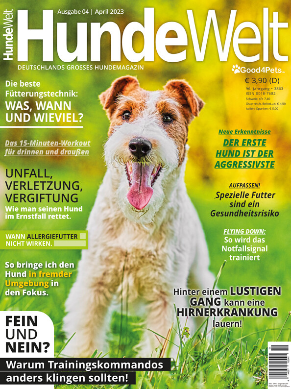 HundeWelt 04.2023 (Digital, Einzelheft)