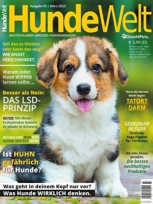 HundeWelt 03.2023 (Print, Einzelheft) HundeWelt 03.2023 (Print, Einzelheft)