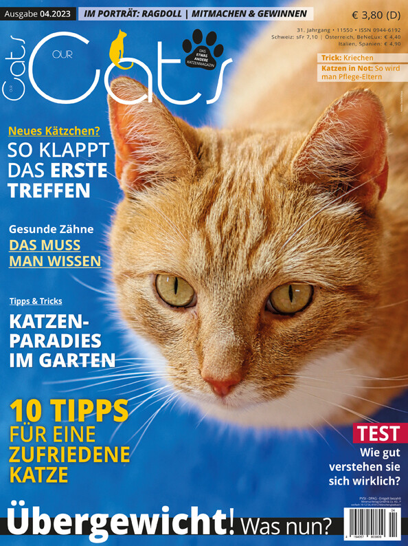 Our Cats 04.2023 (Print, Einzelheft)