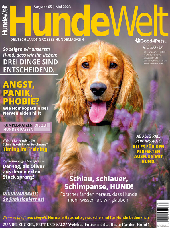 HundeWelt 05.2023 (Digital, Einzelheft)