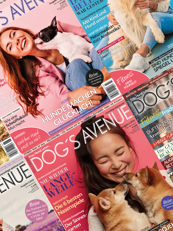 Dog´s Avenue Abonnement (6 Ausgaben/Jahr)