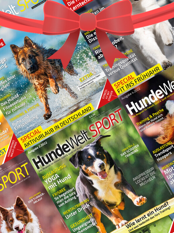 HundeWelt SPORT Geschenk-Abonnement (6 Ausgaben)
